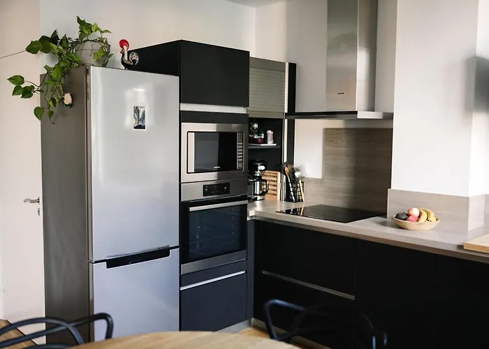 Grand T3, Plein Centre Appartement Bagnères-de-Bigorre